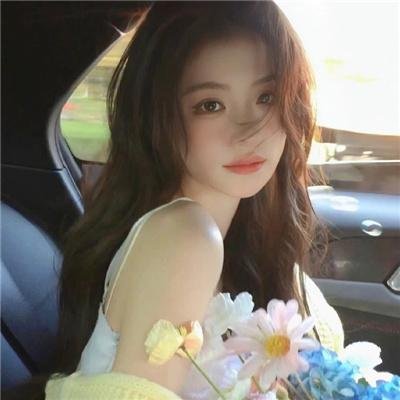 沙海狂鲨封面